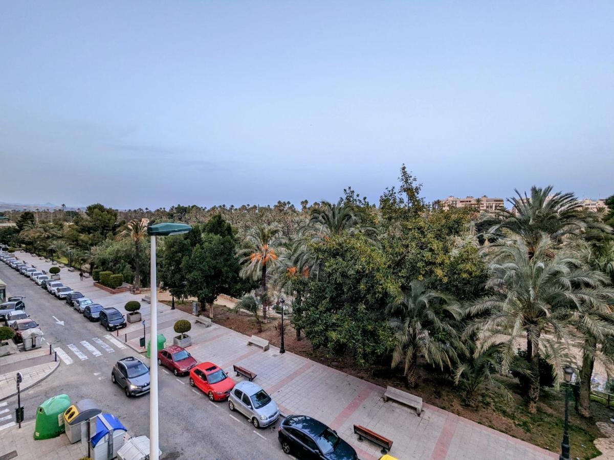Comunidad Valenciana 31 Elx Zewnętrze zdjęcie